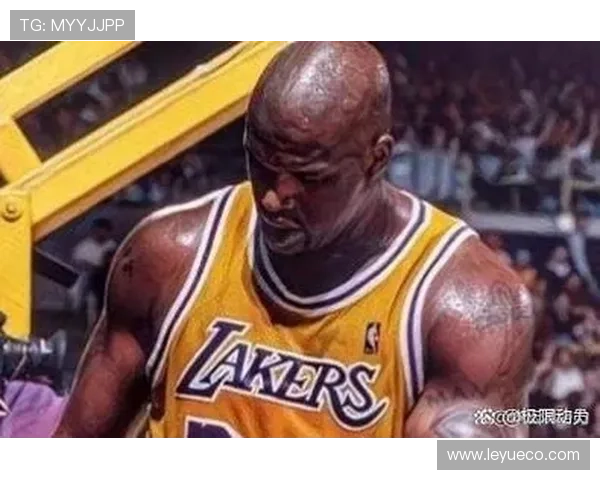 张伯伦单打拉开内线差距，31+篮板高效统治NBA历史